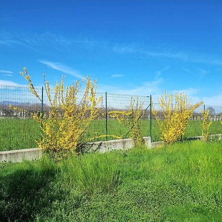 Cascina La Demilana Bed & Breakfast Bibiana Bagian luar foto