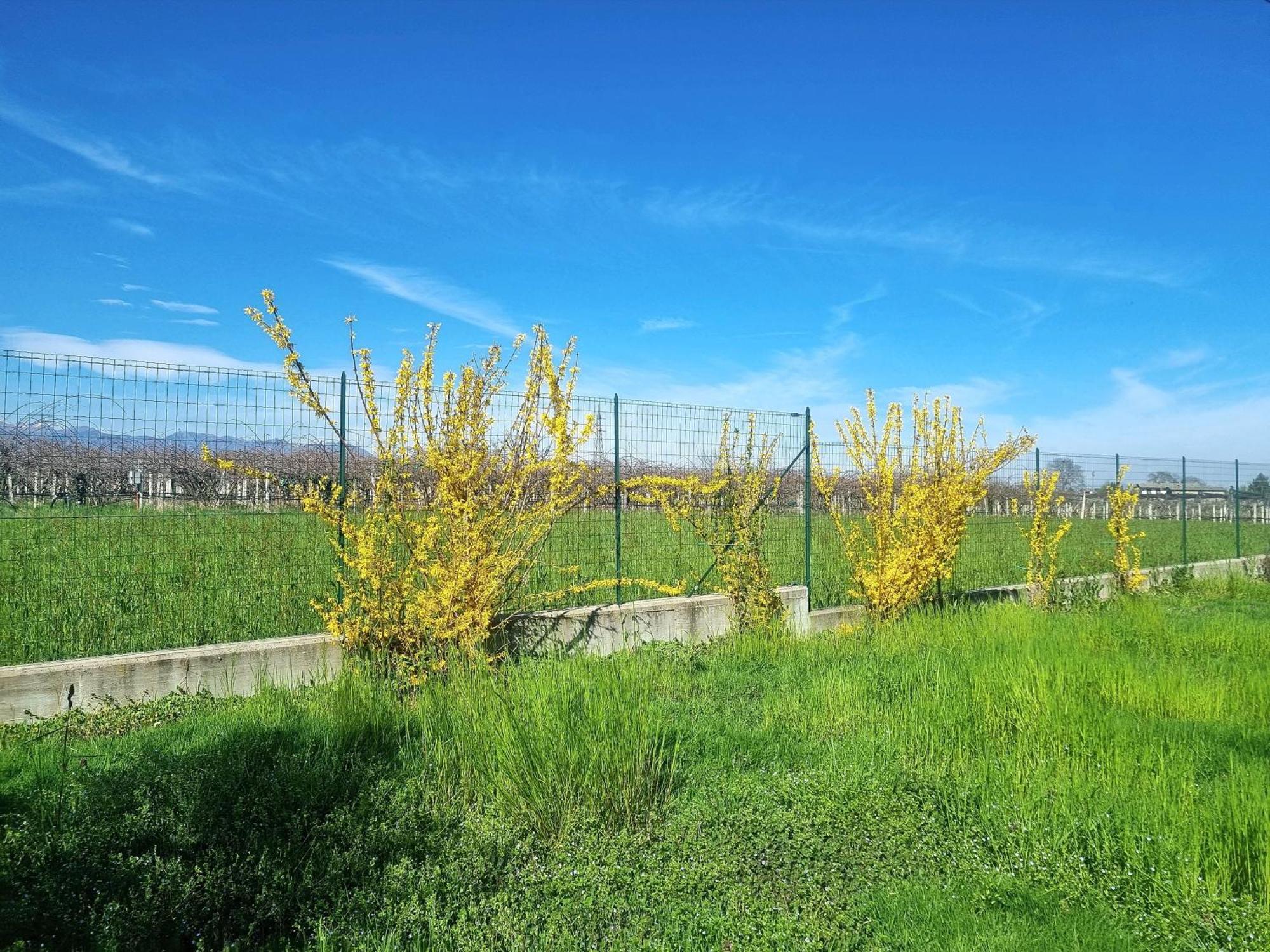 Cascina La Demilana Bed & Breakfast Bibiana Bagian luar foto
