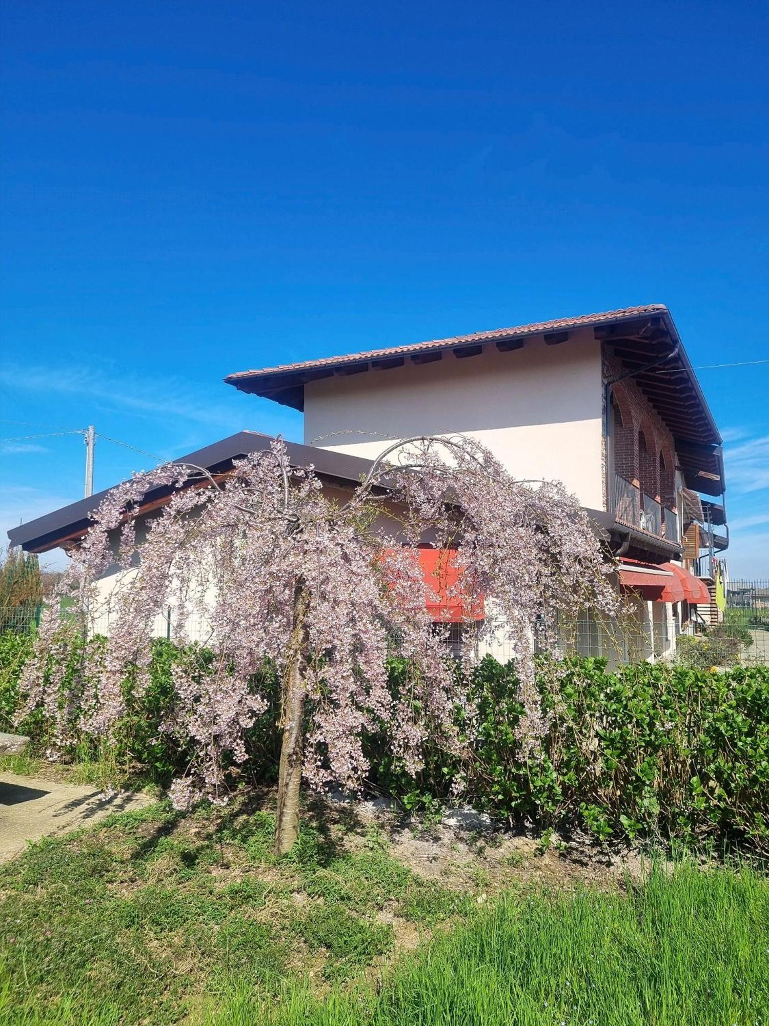 Cascina La Demilana Bed & Breakfast Bibiana Bagian luar foto