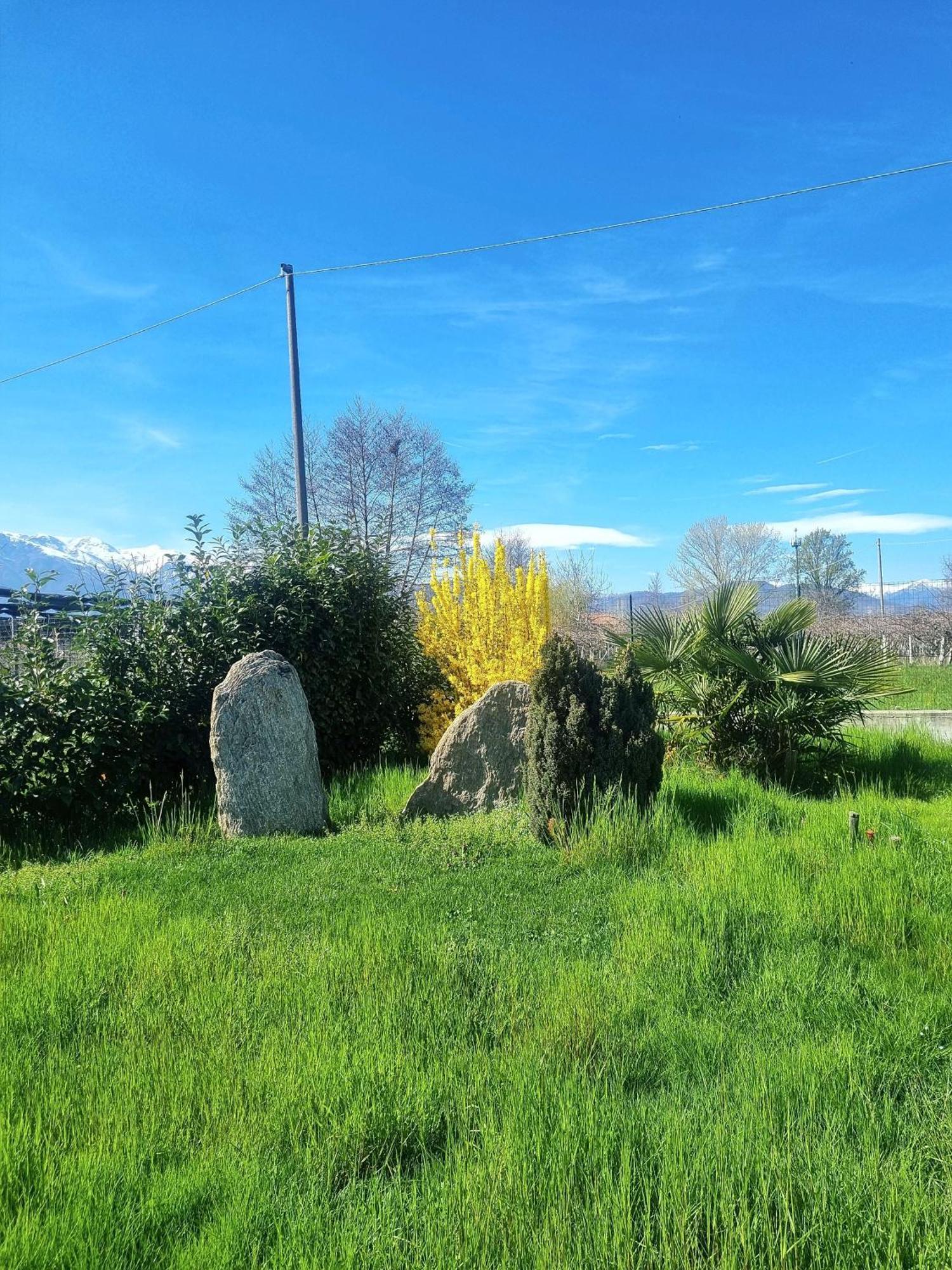 Cascina La Demilana Bed & Breakfast Bibiana Bagian luar foto